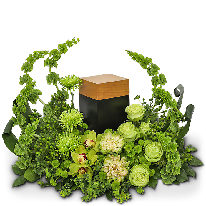 Tranquil Oasis Cremation Tribute