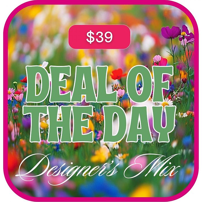 Deal of the Day