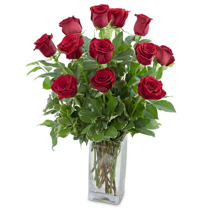 Classic Dozen Red Roses