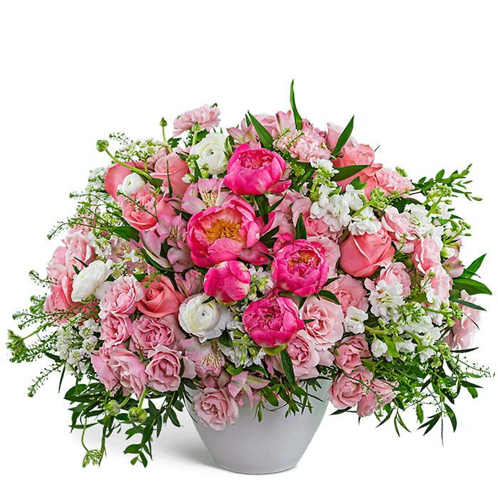 Provence Peony Garden