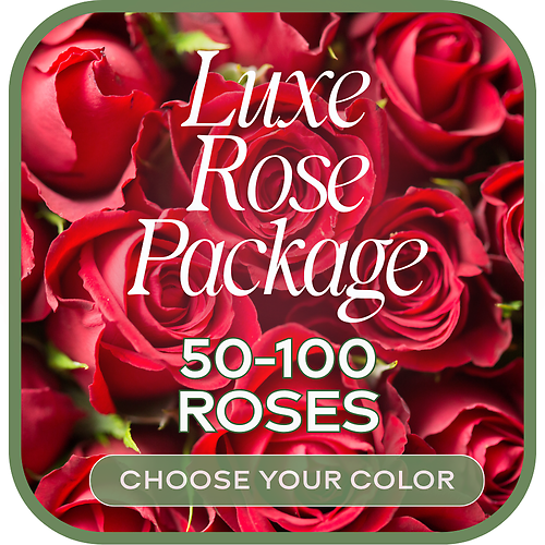 50 or 100 Luxury Roses