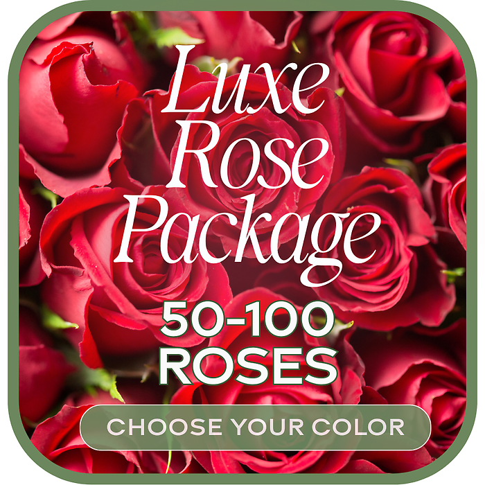 50 or 100 Luxury Roses