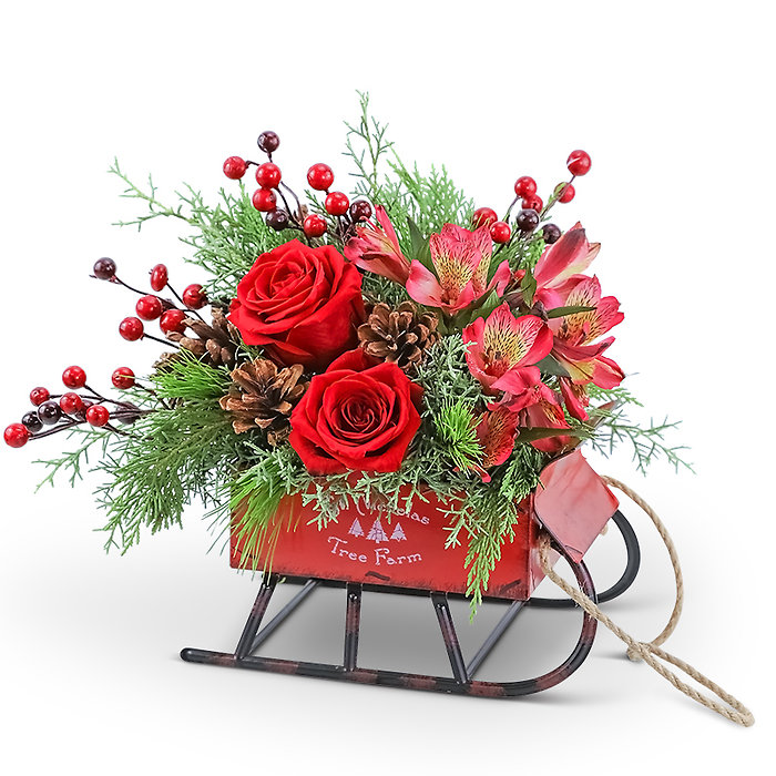 Through the Woods Keepsake Sleigh