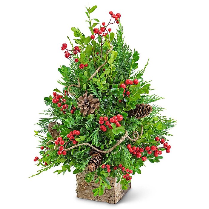 Berries & Cones Boxwood Tree