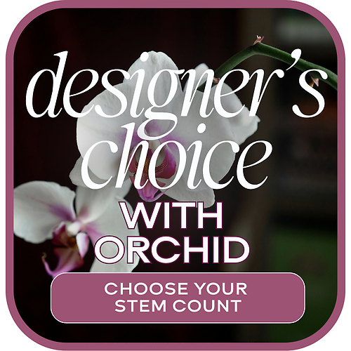 Designer\'s Choice Orchid (Choose Stem Count)