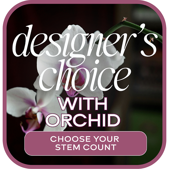 Designer\'s Choice Orchid (Choose Stem Count)