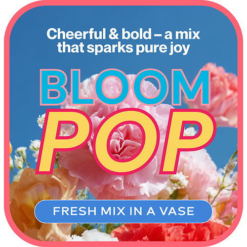 Cheerful & Bold - Designer\'s Choice