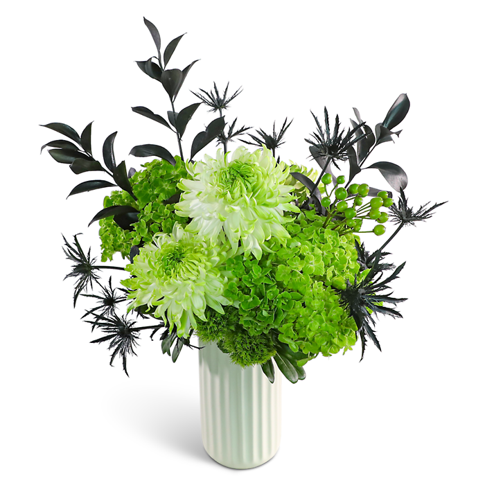 Enchanted in Emerald