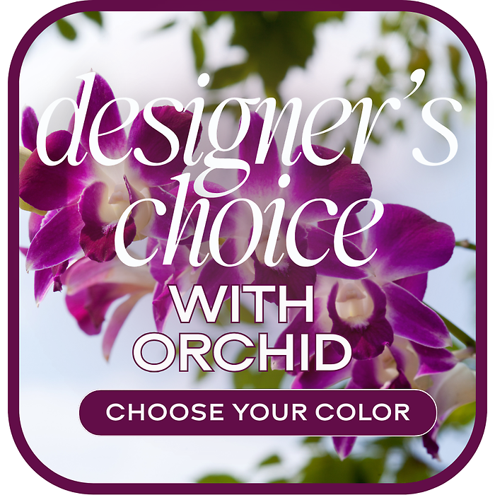 Designer\'s Choice Orchid (Choose Your Color)