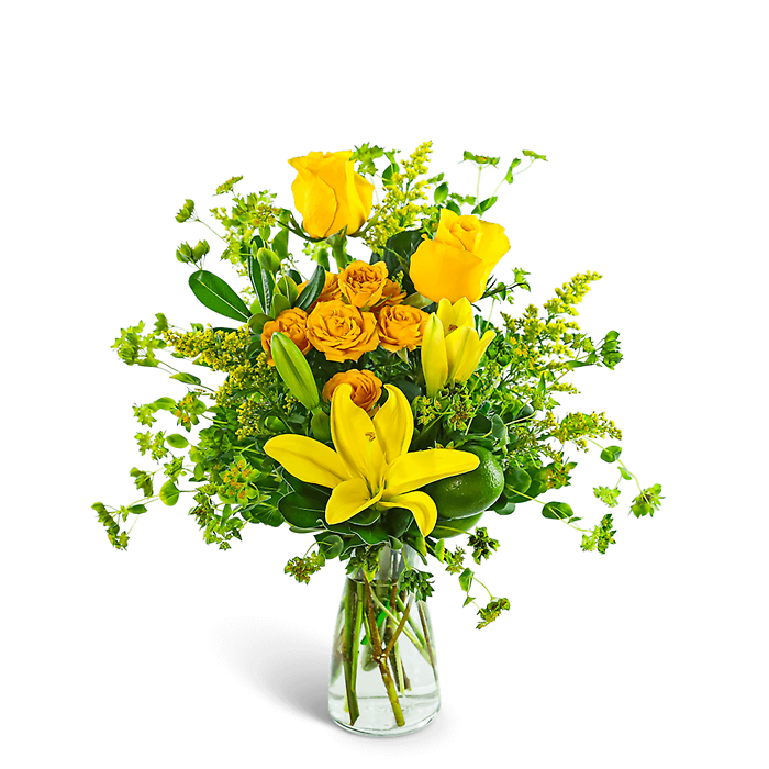 Sweet Limonata Blooms