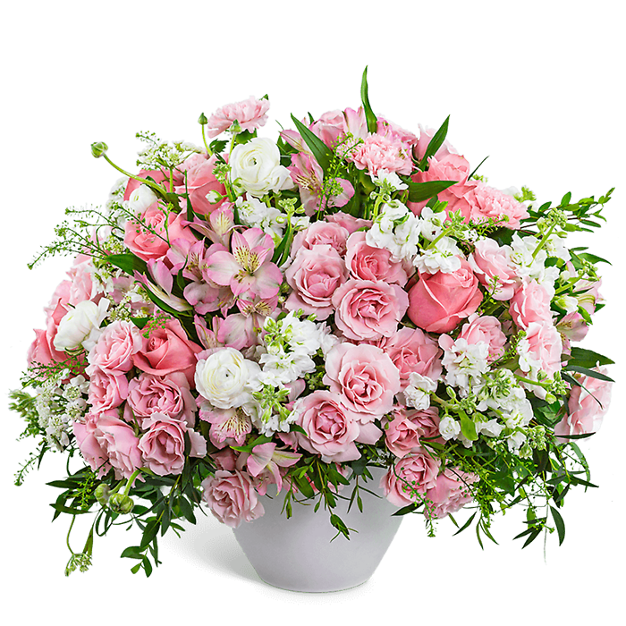 Provence Rose Garden