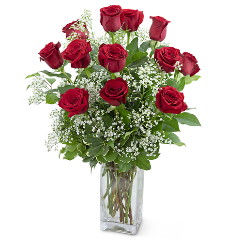 Dozen Roses in a Cloud