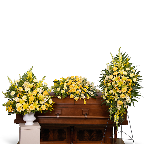 Radiant Remembrance Trio