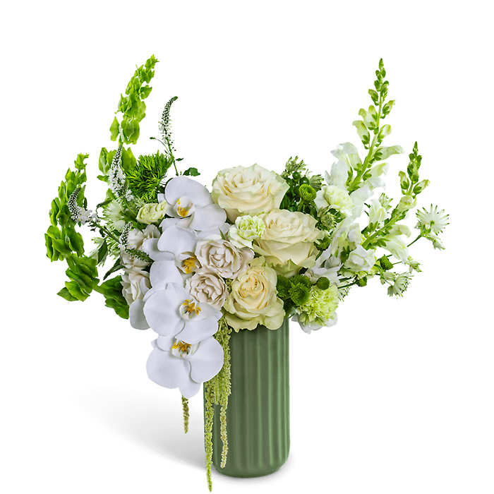 Cashmere Orchid Moment